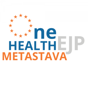 METASTAVA project logo