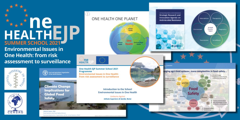One Health EJP Summer School 2021 composite image of presentation shots from the event