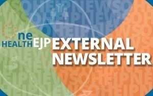 external newsletter placeholder social media