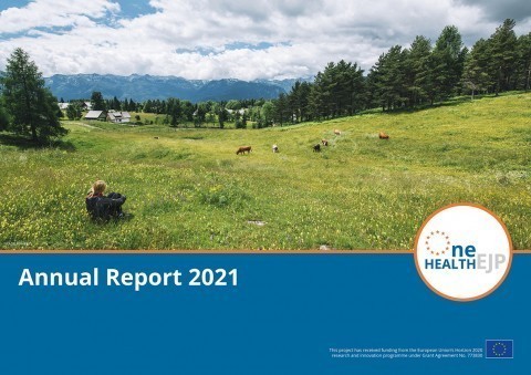 ohejp annual report 2021 cover