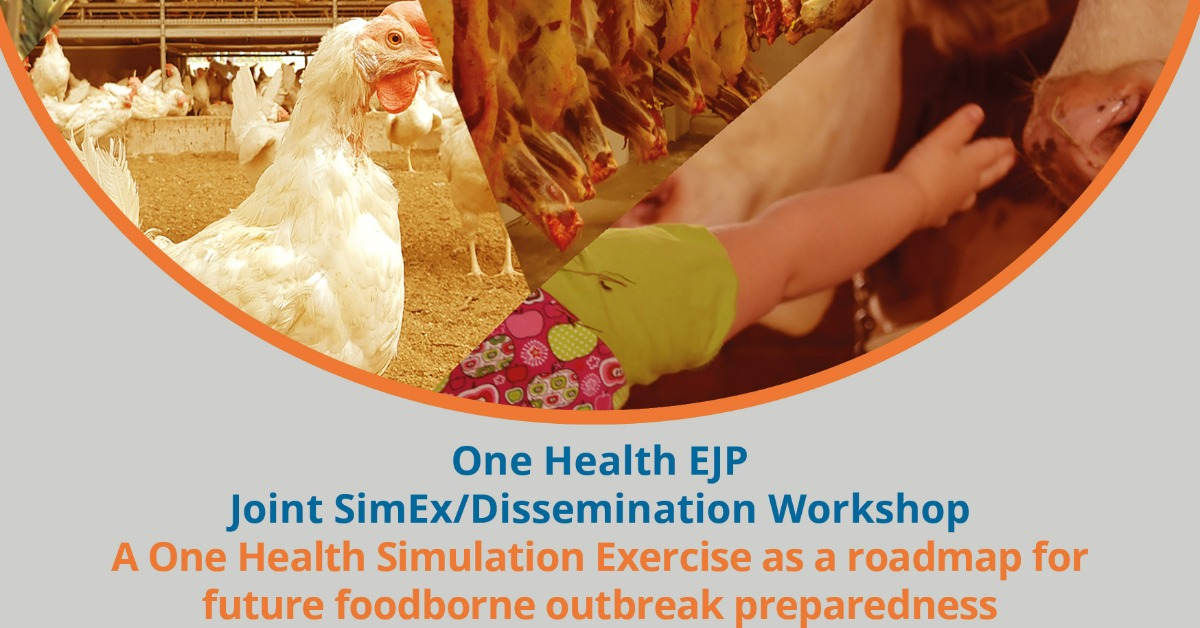 The Impactful One Health EJP Joint SimEx/Dissemination Workshop