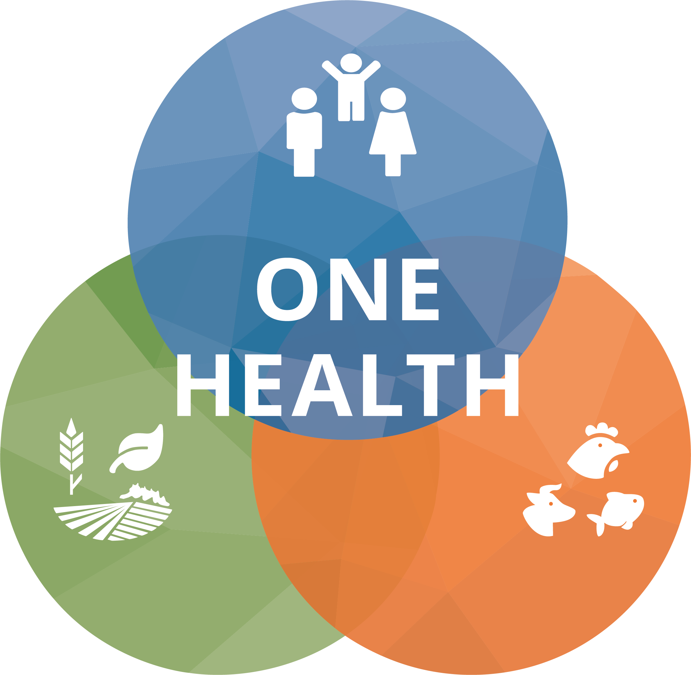 one health infographic logo