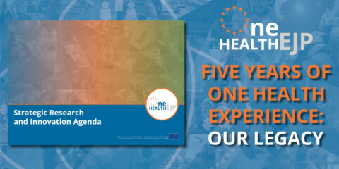 Image of front cover of SRIA report with text saying One Health EJP Five years of One Health experience: our legacy