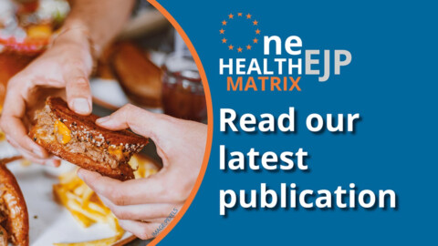 Test of One Health EJP MATRIX Read our latest publication with photo of someone holding some cooked food