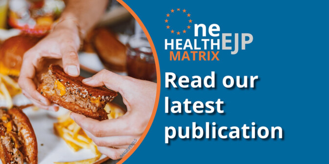 Test of One Health EJP MATRIX Read our latest publication with photo of someone holding some cooked food