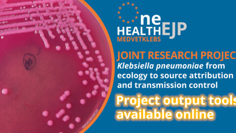 medvetklebs project tools banner that shows an image of some bacteria in a petrie dish