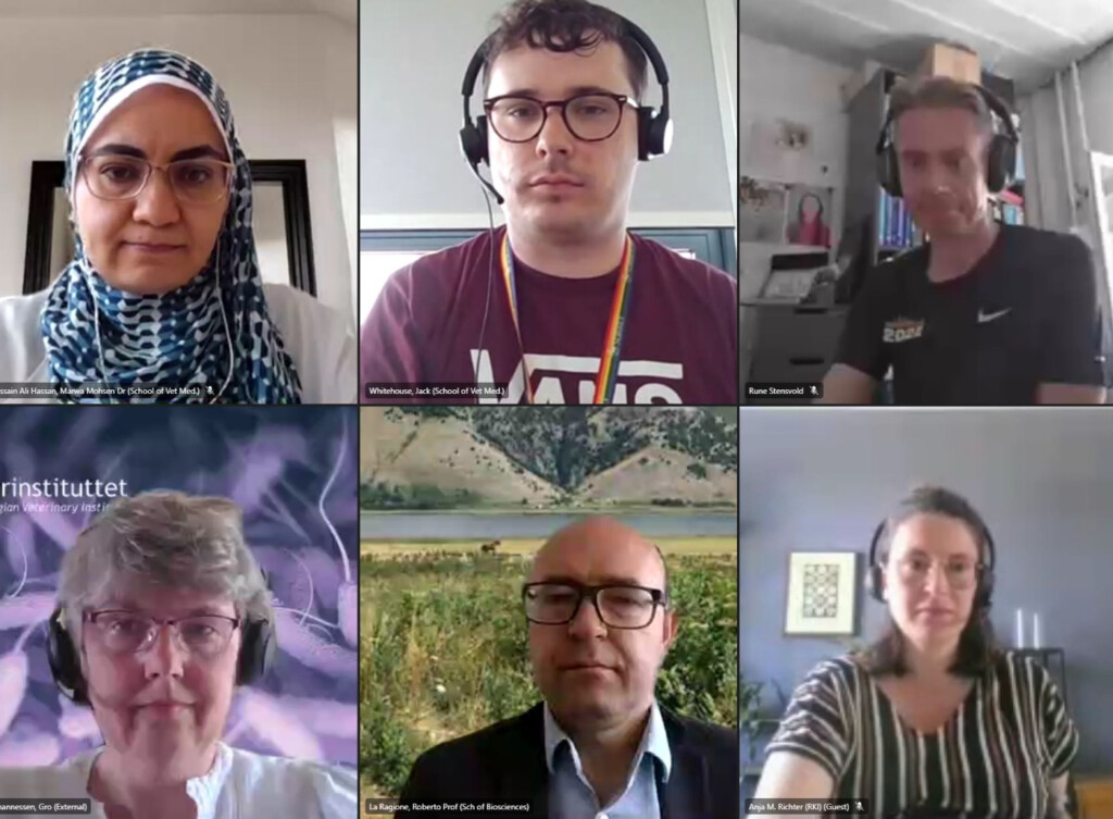 Screenshot group photo of 6 people who were speakers and organisers at the Dissemination Webinar