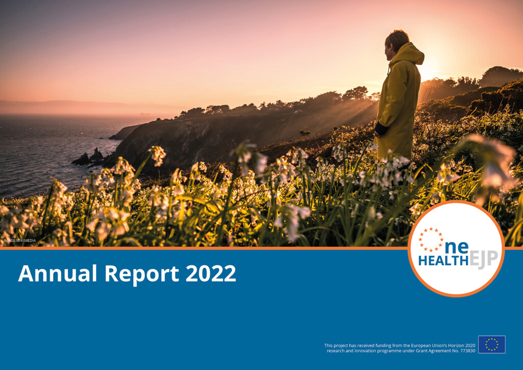 Front cover image of Annual Report 2022 with a photo of a person standing on the coastline looking at a sea view of cliffs