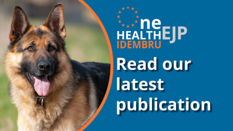 Idembru project promoting latest publication banner with a photo of a German Shepherd Dog