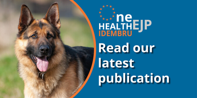 Idembru project promoting latest publication banner with a photo of a German Shepherd Dog