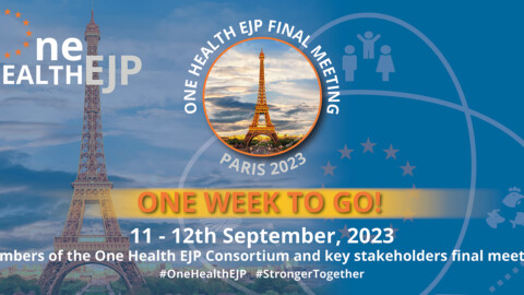 One week to go until the Final One Health EJP meetings, with an image of Eiffel Tower in Paris on banner