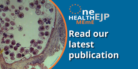 MEME project Read our latest publication banner with a photo showing the image of parasites seen down a microscope
