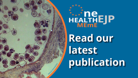 MEME project Read our latest publication banner with a photo showing the image of parasites seen down a microscope