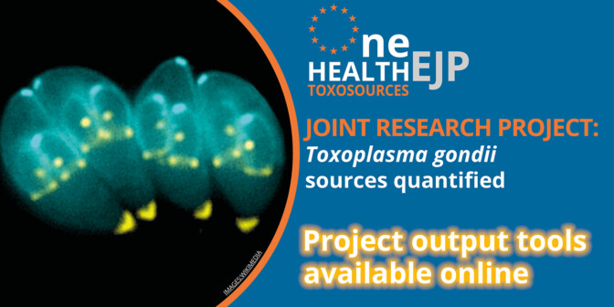 toxosources project tools banner with an image of the parasite Toxoplasma gondii