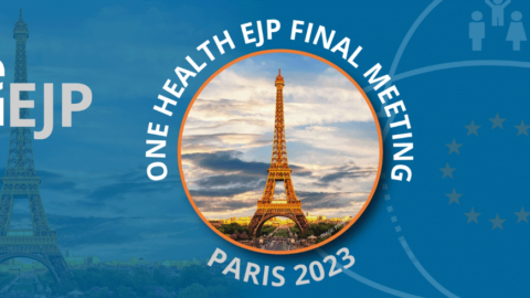 One Health EJP meeting final banner with image of Paris Eiffel Tower.