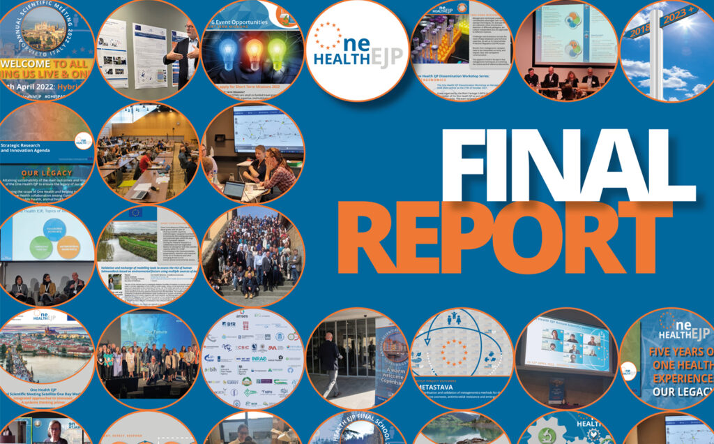 Front cover image of the Final Report