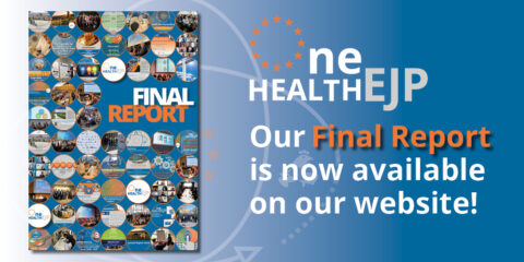 Image of the front cover of the final report, with text One Health EJP Our Final Report is now available on our website.